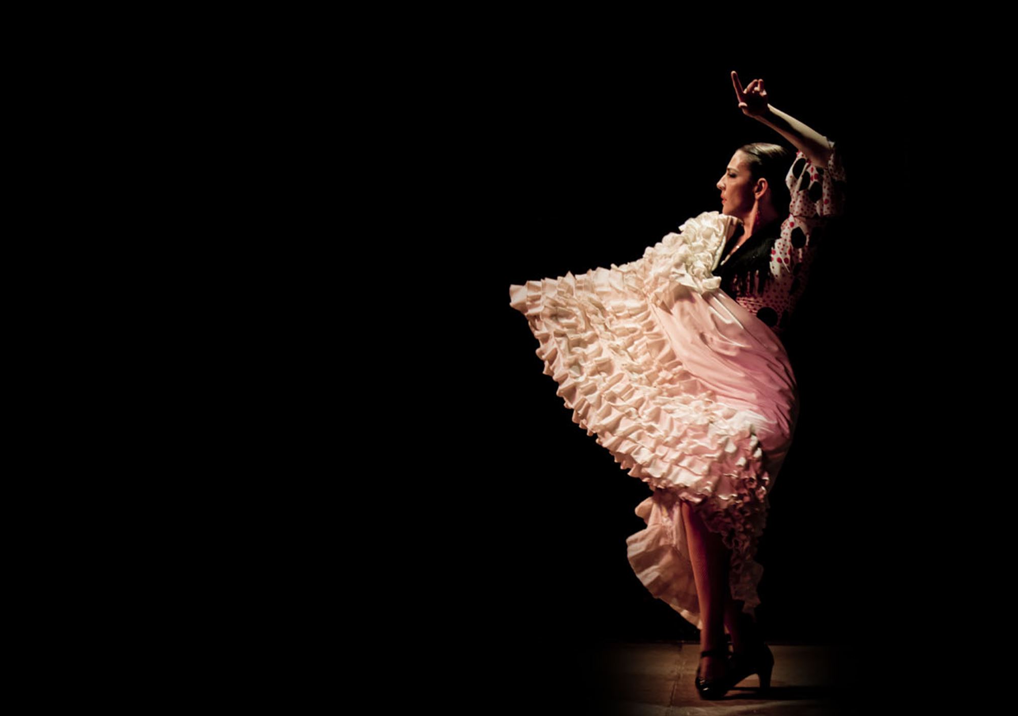 buche Flamenco Show Tablao Torres Bermejas Madrid